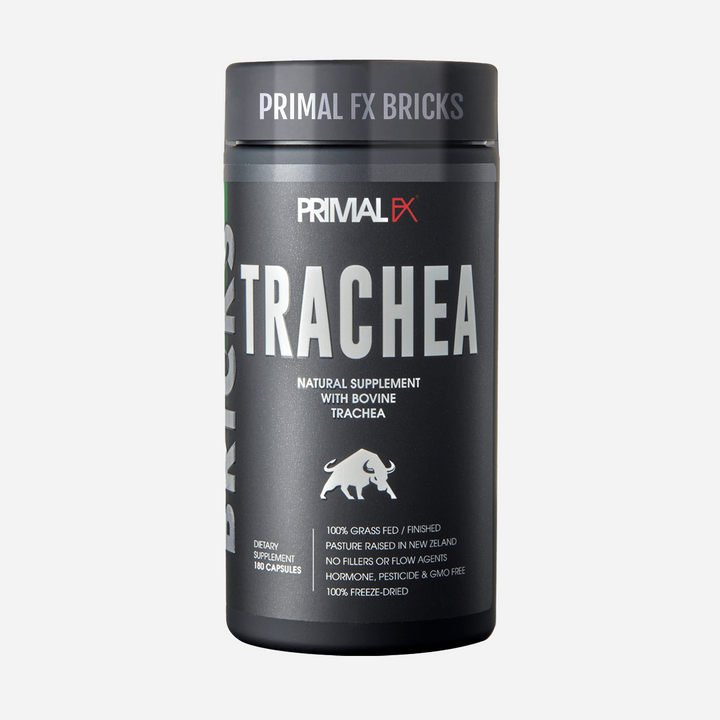 TRACHEA