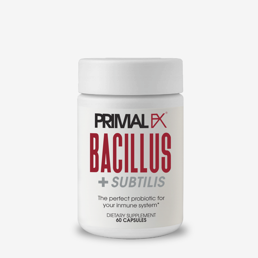 BACILLUS + SUBTILIS